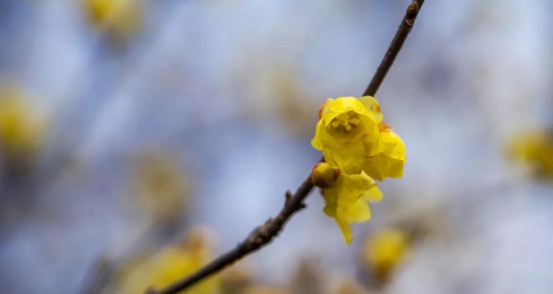 �����ο�����ɱ����