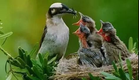 ����_|_����������Ī��������