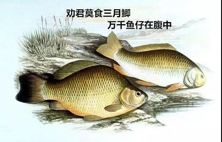 ����_|_����������Ī��������