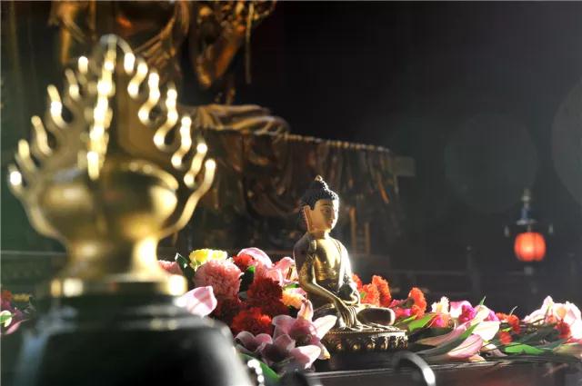 ˼��_|_�����䣬Ψ����һ���������