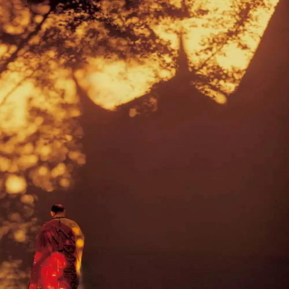 ������ᶮ�ã������˺���ģ�����ġ�����Ϊ�ǡ�