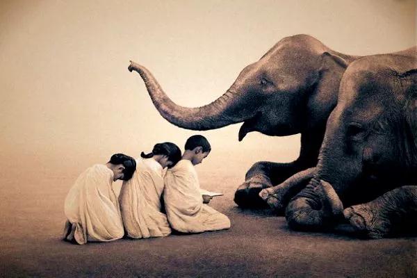 ��˵���Կ��Ǹ������⡰��������ô���ģ�