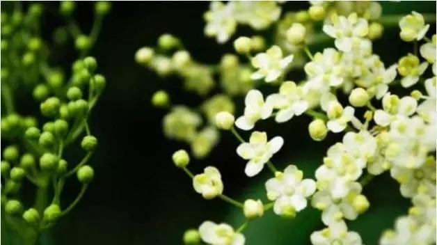 不要将十年前的痛苦还带在身上 不要将十年前的痛苦还带在身上