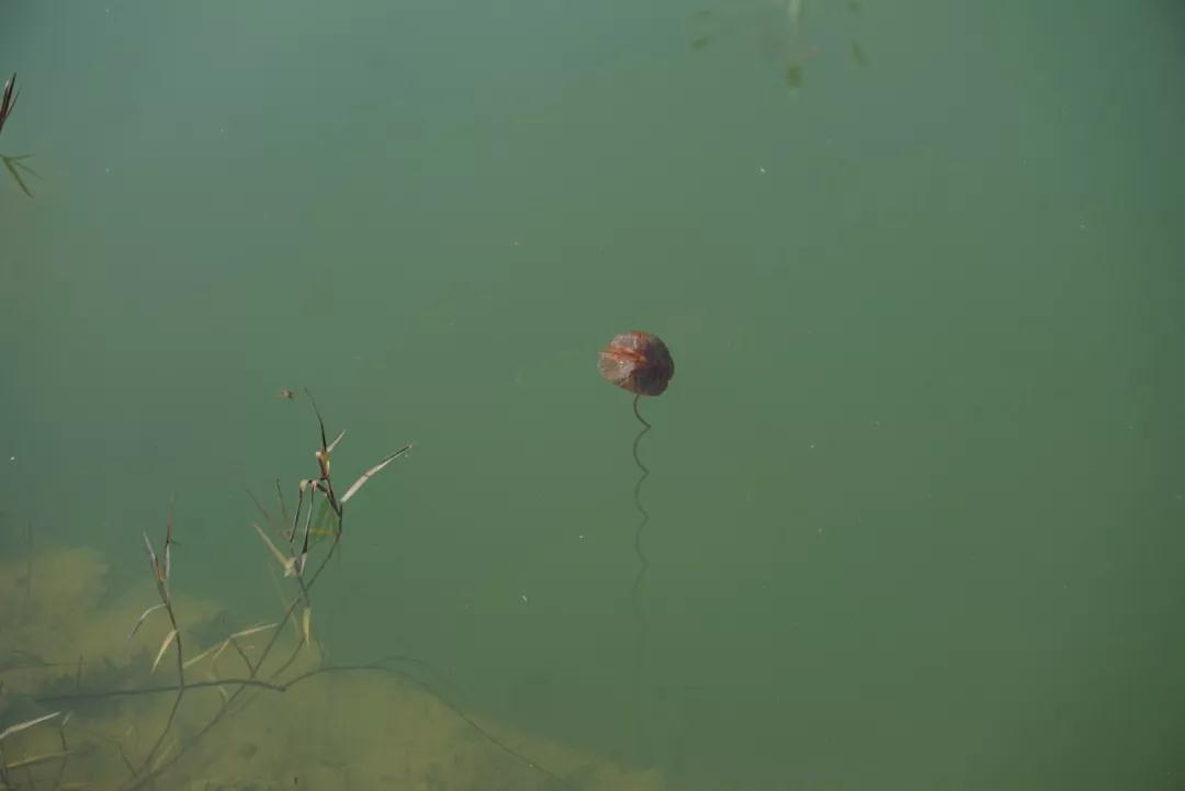 不要将十年前的痛苦还带在身上 不要将十年前的痛苦还带在身上