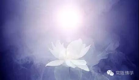 Ҫ�ɷ�����ǵ���������