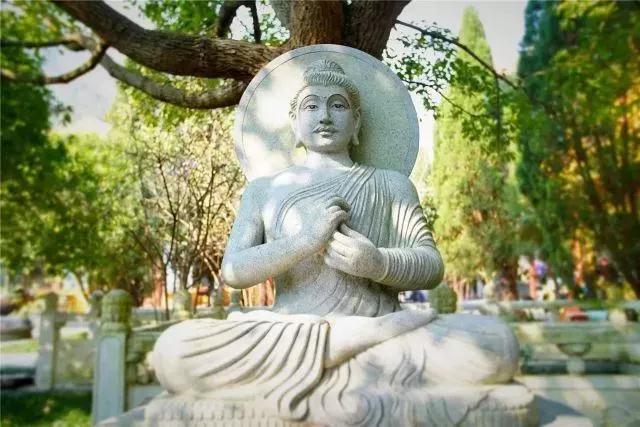 恭迎释迦牟尼佛出家日_|_祈愿众生吉祥安康,早日悟道解脱 恭迎释迦牟尼佛出家日_|_祈愿众生吉祥安康,早日悟道解脱