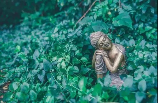 恭迎释迦牟尼佛出家日_|_祈愿众生吉祥安康,早日悟道解脱 恭迎释迦牟尼佛出家日_|_祈愿众生吉祥安康,早日悟道解脱