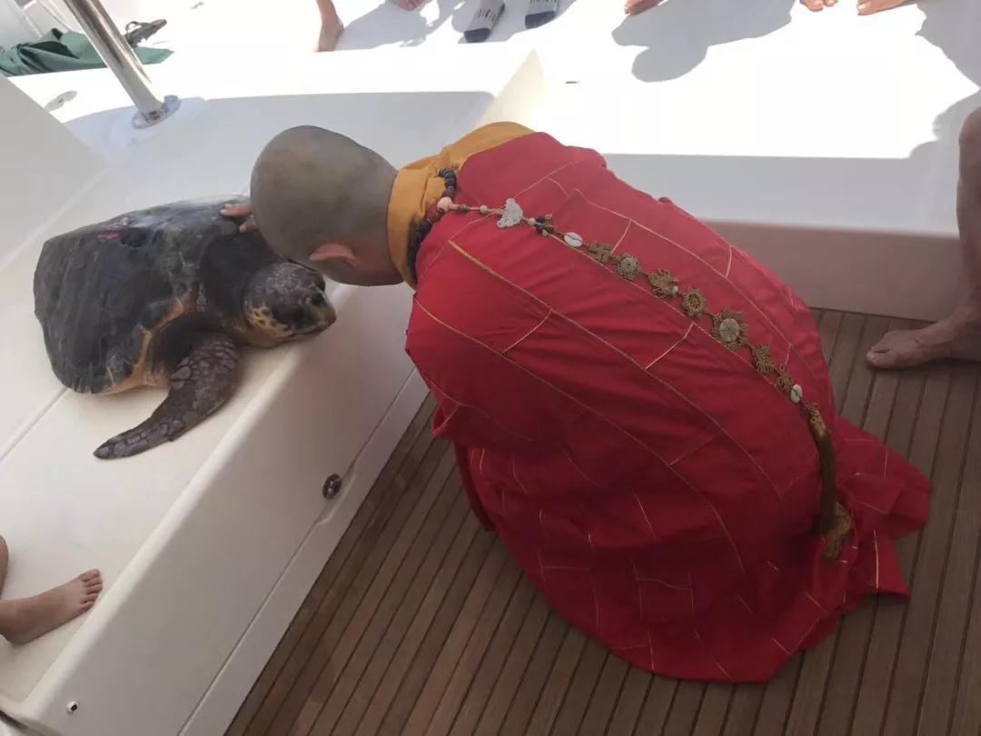 ��ʶ_|_����ʱ����ι��룿