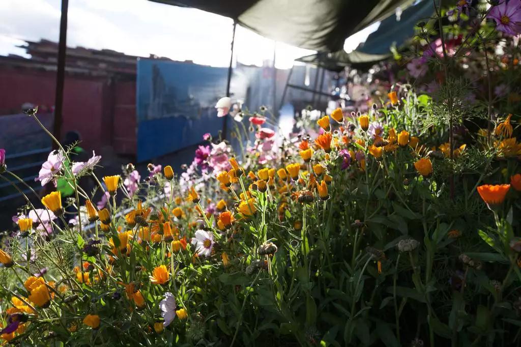 学佛不是小资生活,…… 学佛不是小资生活,……