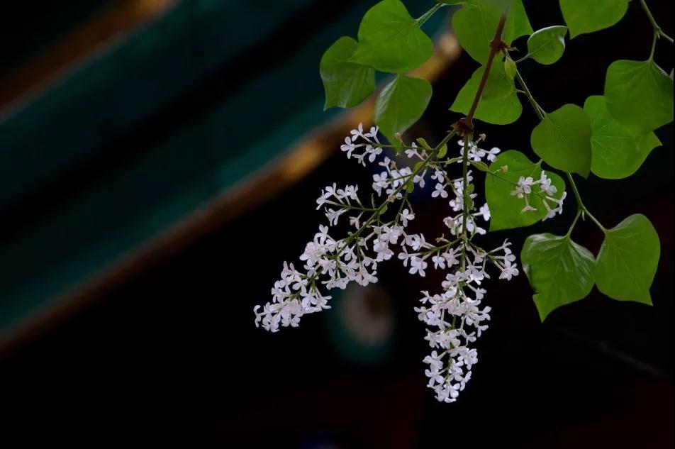 �������ʣ����ǰ����ʲô��