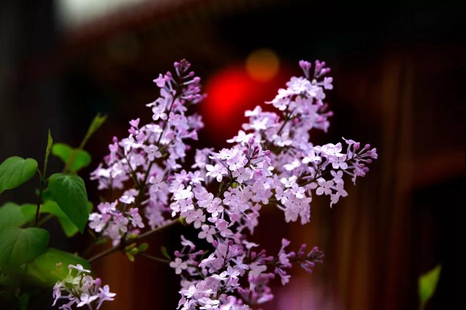 �������ʣ����ǰ����ʲô��