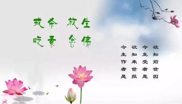 同修分享:放生念佛后儿子成绩突飞猛进 同修分享:放生念佛后儿子成绩突飞猛进