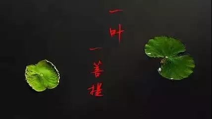 ��ʫ��ʮ�ף�ÿһ�׶����������ڵĴ��ǻ�