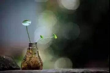 ��ʫ��ʮ�ף�ÿһ�׶����������ڵĴ��ǻ�