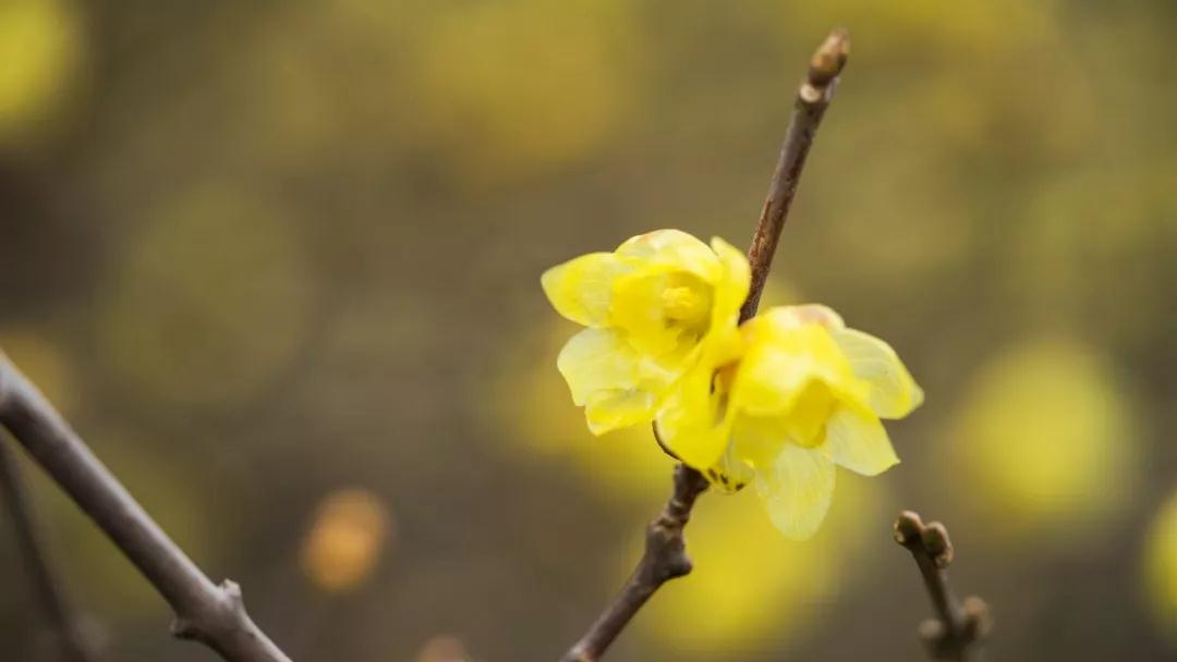 成功最终拼的是福德 成功最终拼的是福德