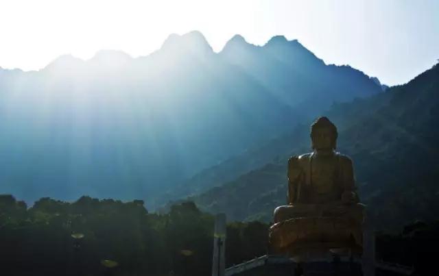 念佛不是当钱用的。要求生西方 念佛不是当钱用的。要求生西方