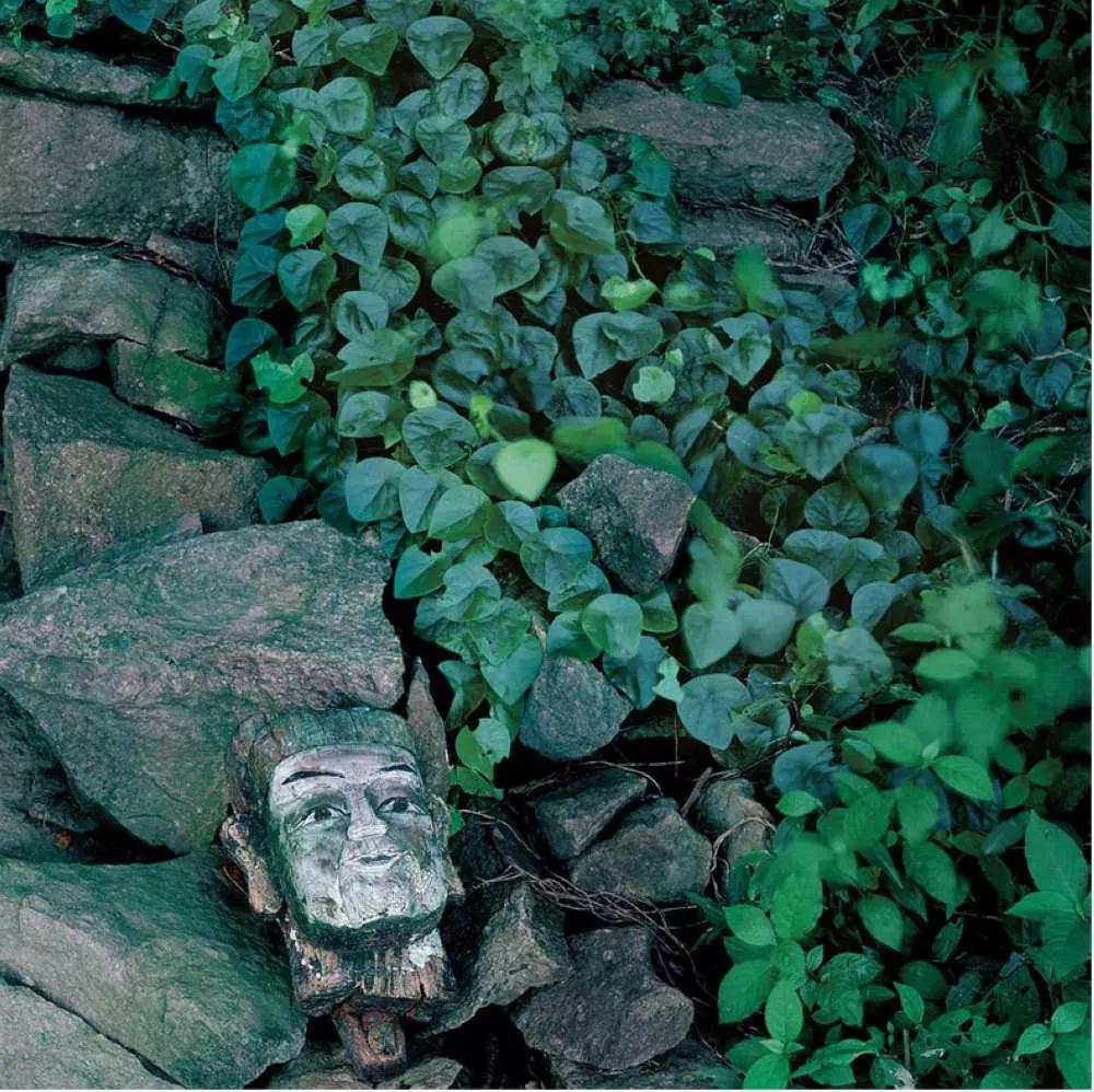 ���Ʋ�˵�ƣ��쳾������˲�֪�����ǻ�