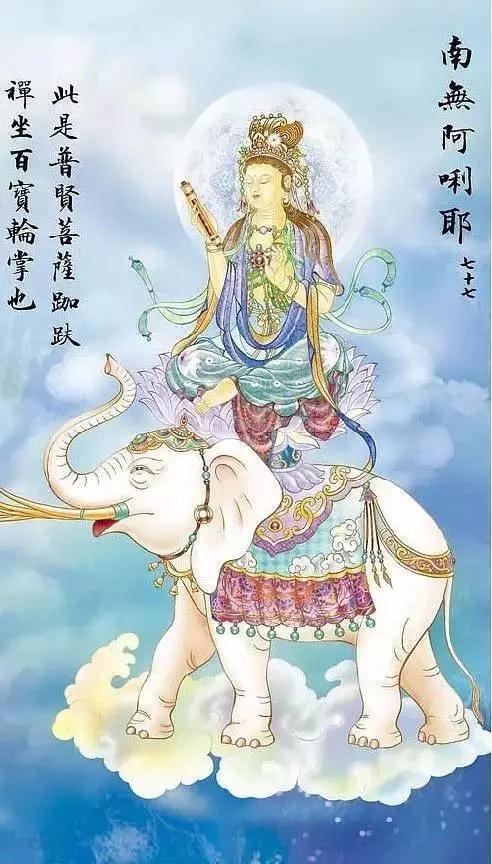 今日普贤菩萨圣诞_|_菩萨行愿恒加持,大众善愿皆成就! 今日普贤菩萨圣诞_|_菩萨行愿恒加持,大众善愿皆成就!