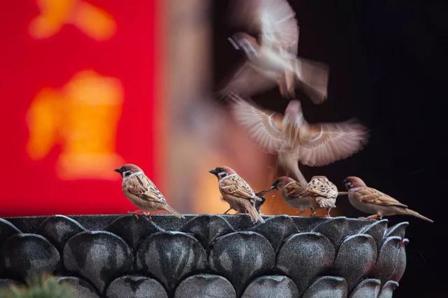 ������Щ���飬�����÷����Ĺ����������Բ������