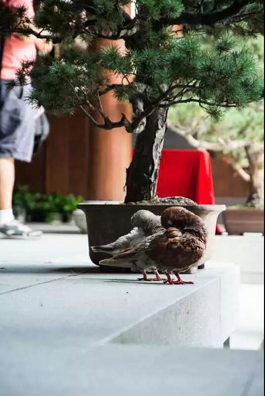 ������Щ���飬�����÷����Ĺ����������Բ������