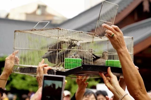 ������Щ���飬�����÷����Ĺ����������Բ������