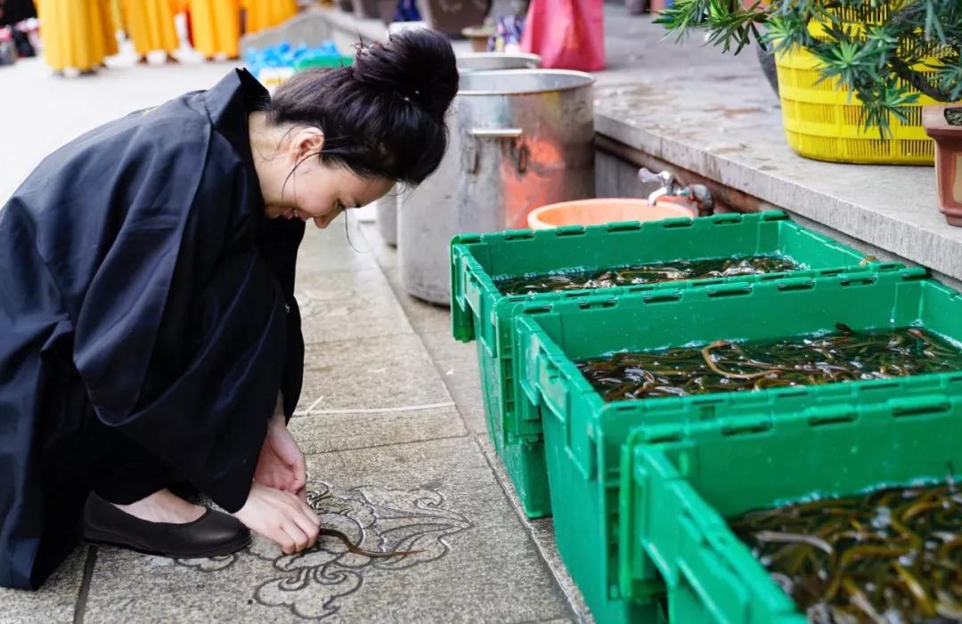 ������Щ���飬�����÷����Ĺ����������Բ������