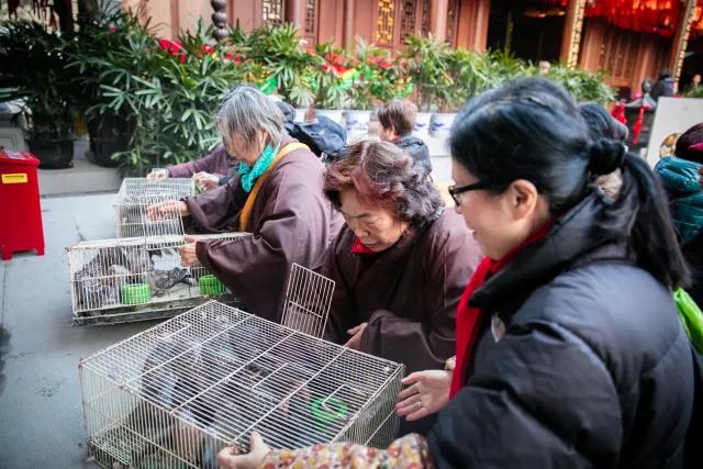 ������Щ���飬�����÷����Ĺ����������Բ������