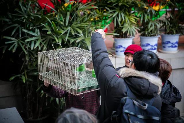 ������Щ���飬�����÷����Ĺ����������Բ������