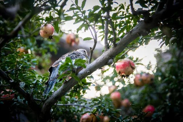 ������Щ���飬�����÷����Ĺ����������Բ������