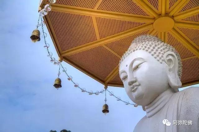 修学净土法门应该注意的十八件事 修学净土法门应该注意的十八件事