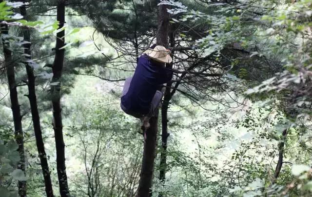 5000��λ��ʿ��������ɽ������ǧ��ǰ�����