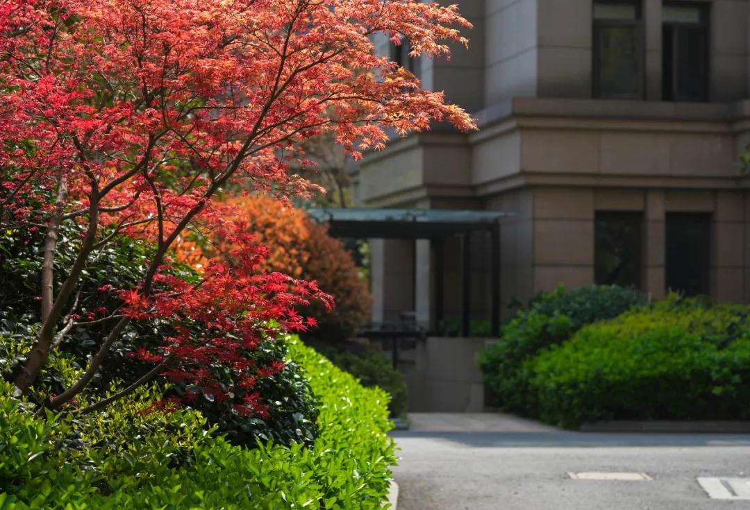 ��ı��Լ����編����Ϊ��Ҫ�������㡭��