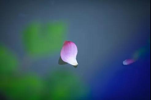 �����ǹ�ȥ��������������δ���ĸ���