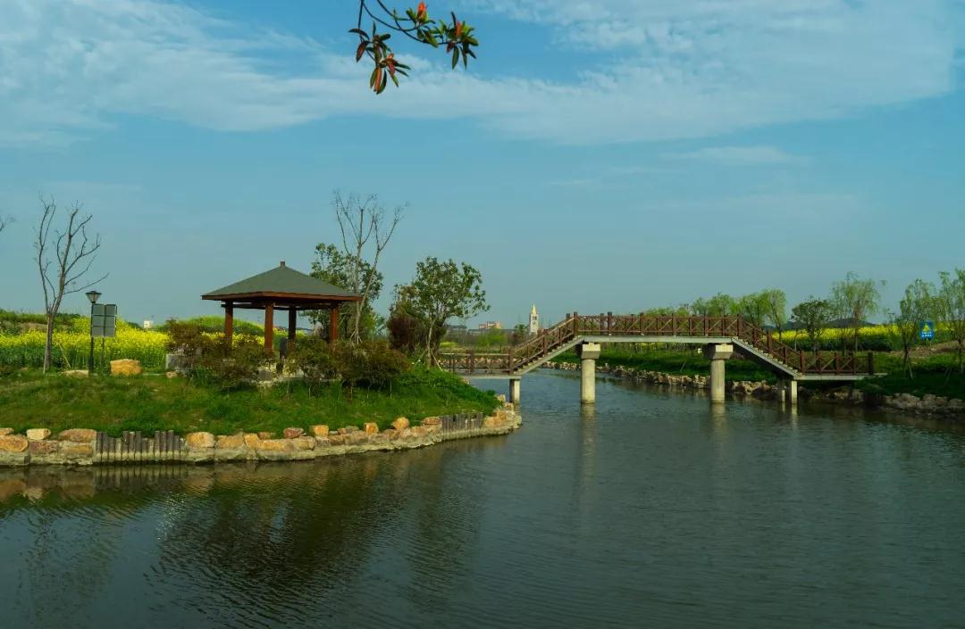 ���ͨ��ѧϰ�𷨸ı����ˣ�