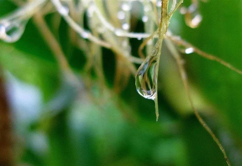 ˭��Ǳ�����������еĵ���?