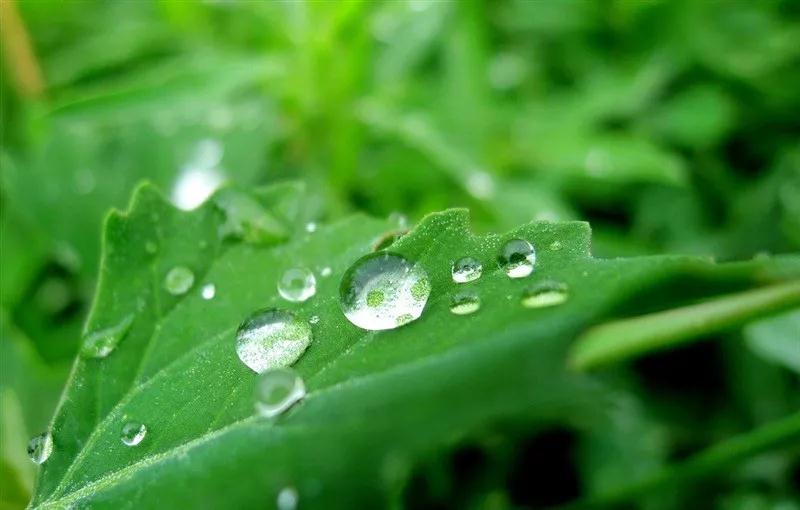 ˭��Ǳ�����������еĵ���?