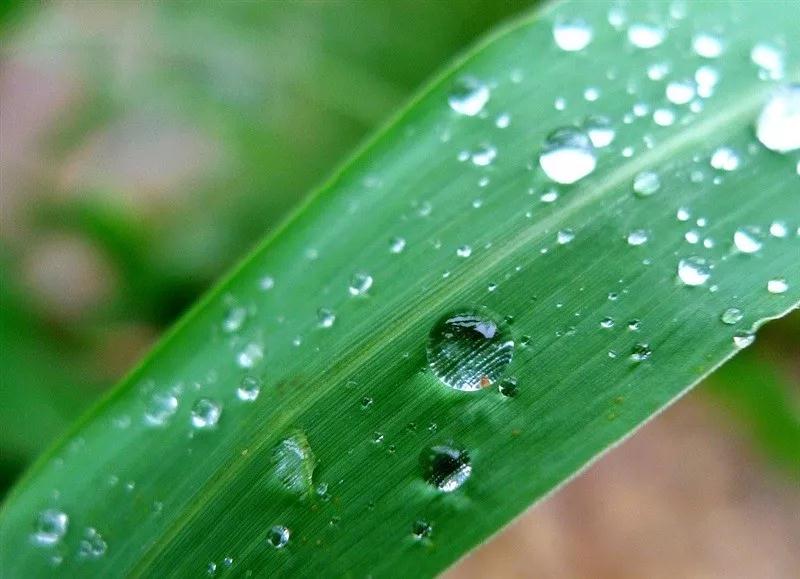 ˭��Ǳ�����������еĵ���?