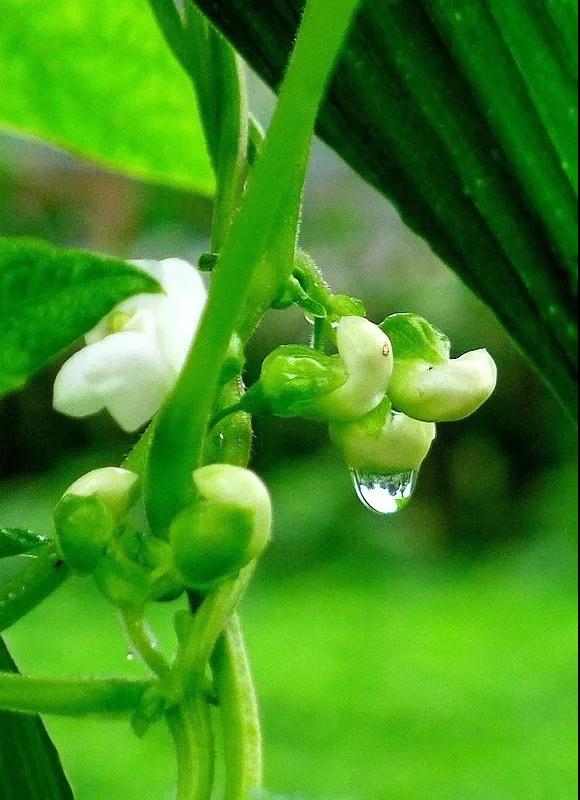 ˭��Ǳ�����������еĵ���?