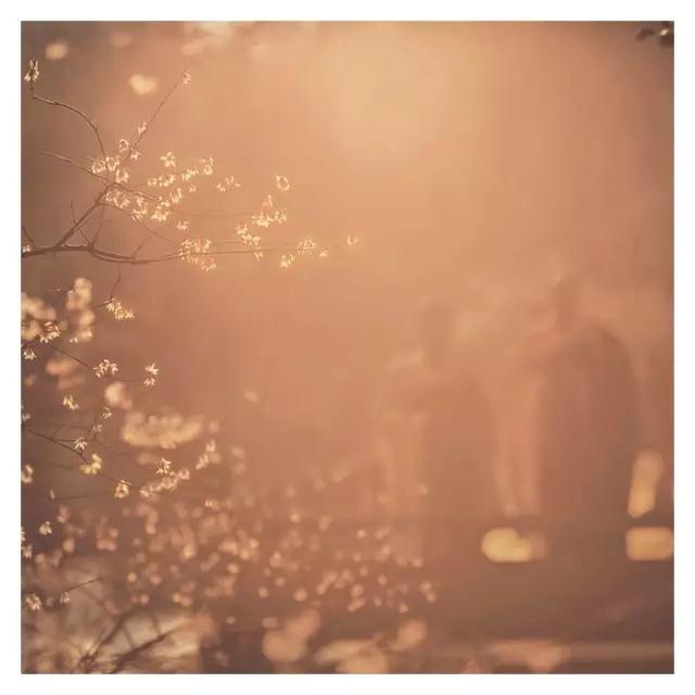 ����Ϊ���ľ仰�������������ǧ�꣡