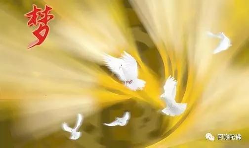 ���μ���Щ����˵�����ҵ���Ѿ������ˡ���