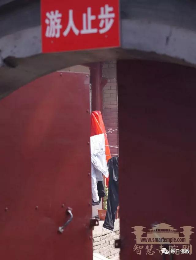 和尚回寺要买票,瞻礼祖师舍利一次10元_|_这座千年祖庭的“商业化之路”还要走多久? 和尚回寺要买票,瞻礼祖师舍利一次10元_|_这座千年祖庭的“商业化之路”还要走多久?