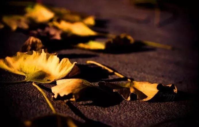 Ϊʲô���Ǹо���ʲô�¶���˳��