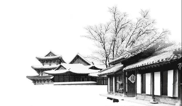 �����˲żüã���ͥ�Ժգ����ϻ���ʲô�£�