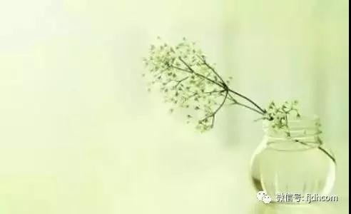 ��������վ�ڰ��϶�������ָ�ֻ���