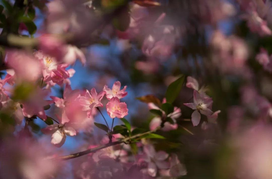 开示_|_品德亏欠是修行不得力的根本原因 开示_|_品德亏欠是修行不得力的根本原因