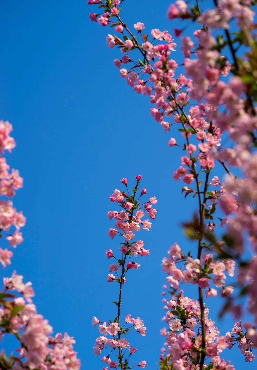 开示_|_品德亏欠是修行不得力的根本原因 开示_|_品德亏欠是修行不得力的根本原因