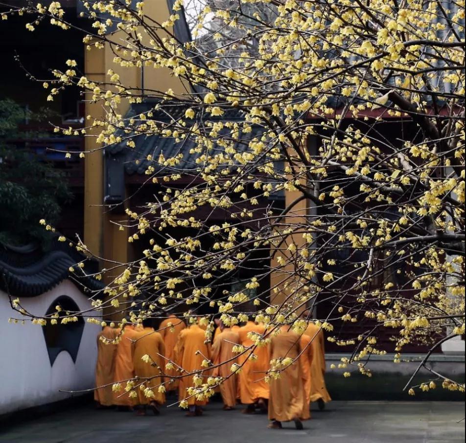 ӡ�ⷨʦ�����еľ��粻���������˵