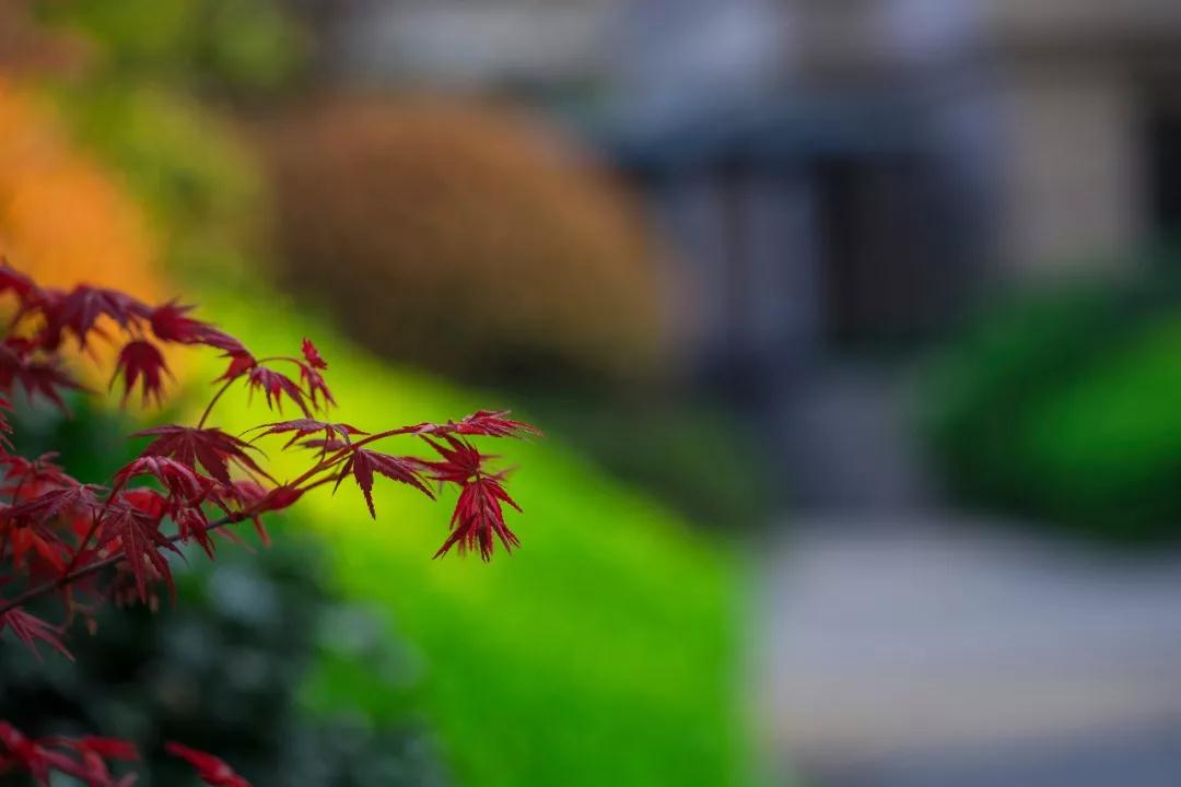 �ǻ�_|_�Ҹ�ȡ���������Χ�˵��ദ