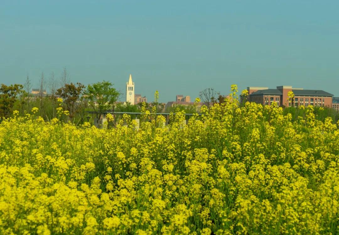 �ǻ�_|_�Ҹ�ȡ���������Χ�˵��ദ