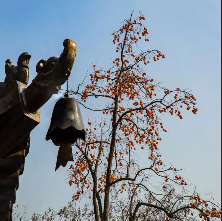 ��ʾ_|_��������Թ�޵���������